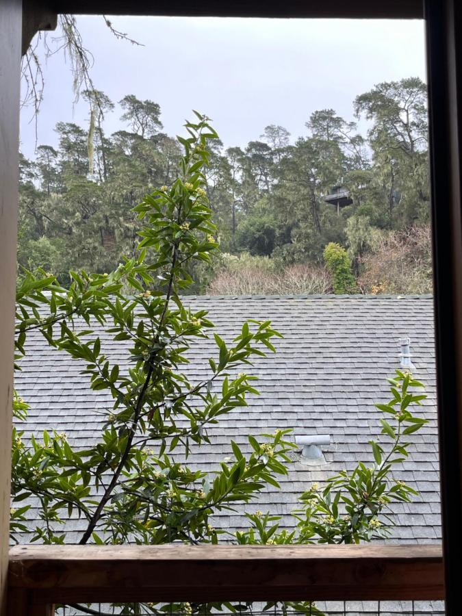 斯奎博住宿加早餐旅馆 坎布里亚 外观 照片